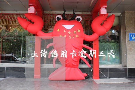 上海信用卡逾期三天 上海信用卡逾期三天