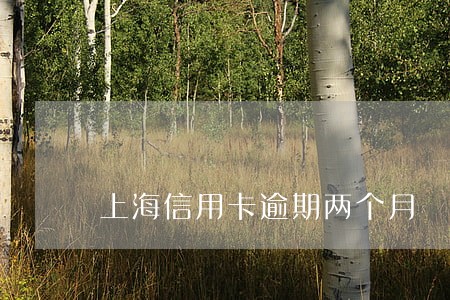 上海信用卡逾期两个月 上海信用卡逾期两个月
