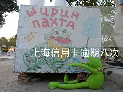 上海信用卡逾期八次