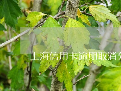 上海信用卡逾期取消分期付款