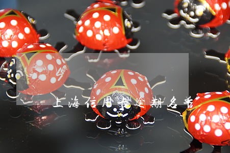 上海信用卡逾期名单