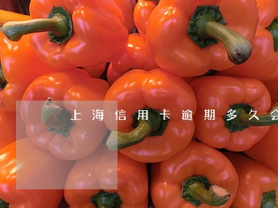 上海信用卡逾期多久会起诉 上海信用卡逾期多久会起诉