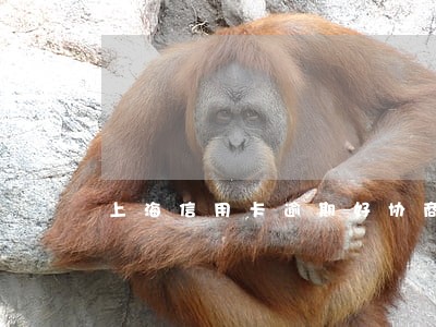 上海信用卡逾期好协商吗 上海信用卡逾期好协商吗