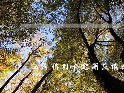 上海信用卡逾期应该如何协商 上海信用卡逾期应该如何协商