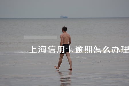 上海信用卡逾期怎么办理 上海信用卡逾期怎么办理