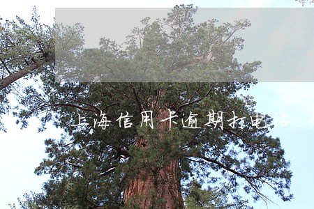上海信用卡逾期打电话 上海信用卡逾期打电话