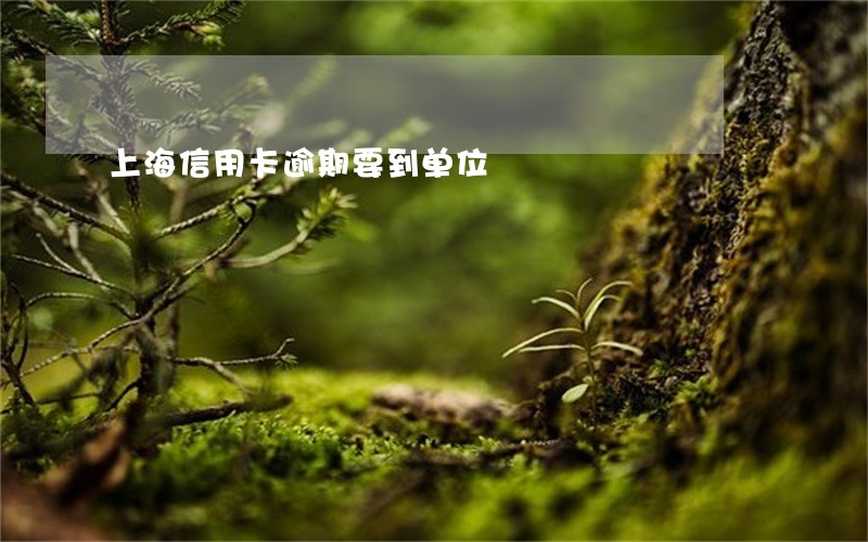 上海信用卡逾期要到单位 上海信用卡逾期要到单位