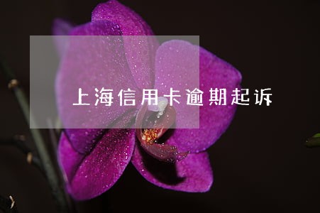 上海信用卡逾期起诉 上海信用卡逾期起诉