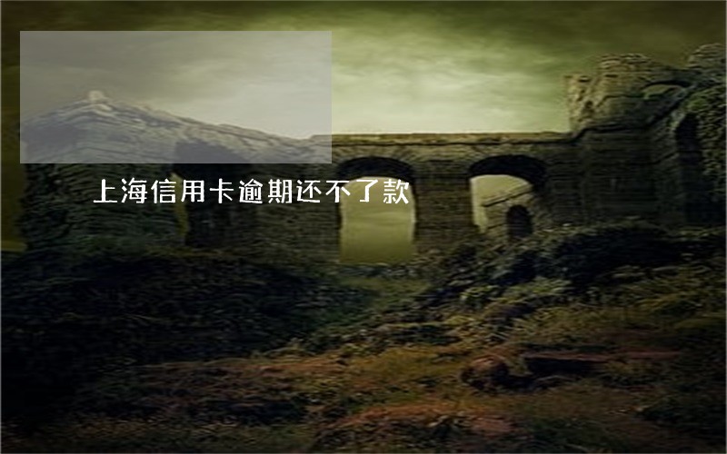上海信用卡逾期还不了款