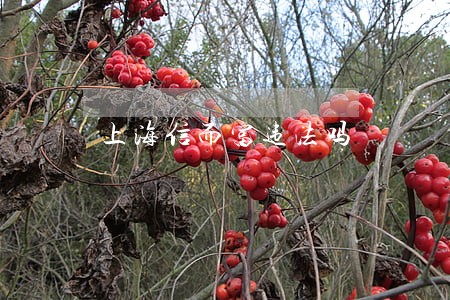 上海信而富违法吗