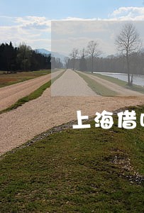 上海借呗逾期1万