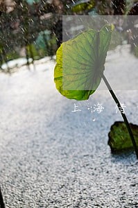 上海借呗逾期1万8