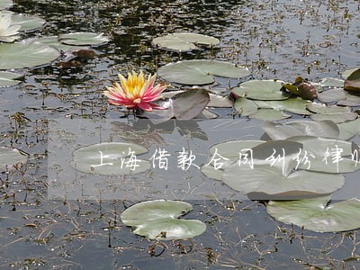 上海借款合同纠纷律师在线咨询 上海借款合同纠纷律师在线咨询