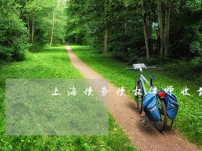 上海债务债权律师收费多少 上海债务债权律师收费多少
