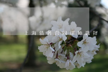 上海债务合同律师选择 上海债务合同律师选择