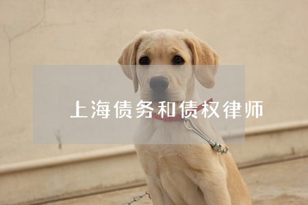 上海债务和债权律师 上海债务和债权律师