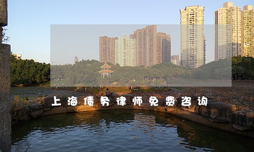 上海债务律师免费咨询 上海债务律师免费咨询