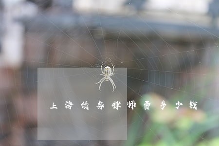 上海债务律师费多少钱 上海债务律师费多少钱