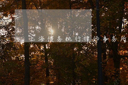 上海债务执行律师事务所 上海债务执行律师事务所