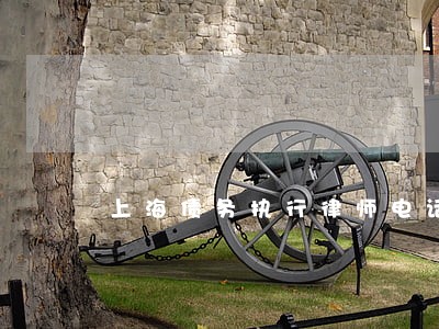 上海债务执行律师电话多少