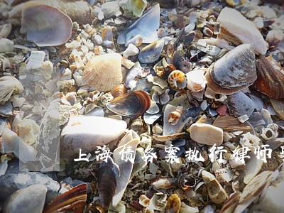上海债务案执行律师事务所 上海债务案执行律师事务所