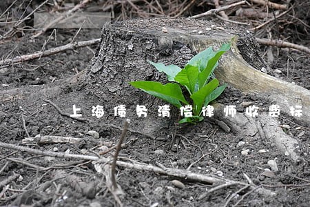 上海债务清偿律师收费标准 上海债务清偿律师收费标准