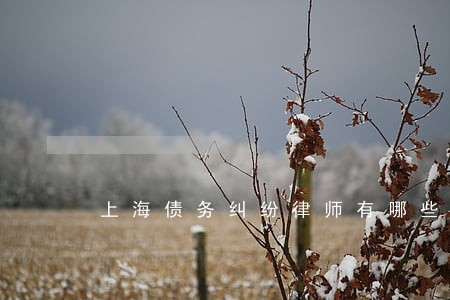 上海债务纠纷律师有哪些 上海债务纠纷律师有哪些