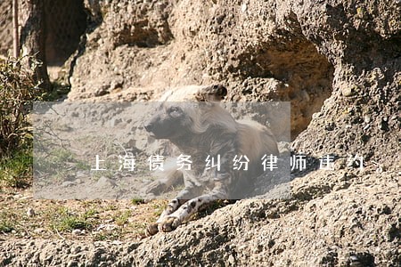 上海债务纠纷律师违约