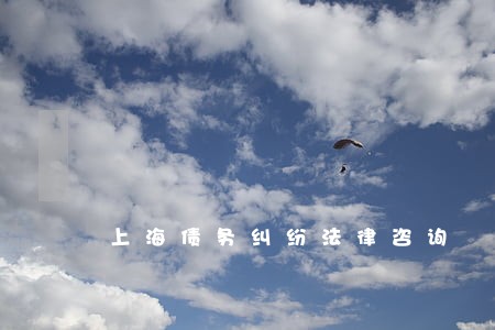 上海债务纠纷法律咨询 上海债务纠纷法律咨询