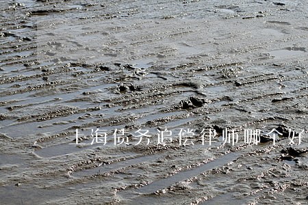 上海债务追偿律师哪个好