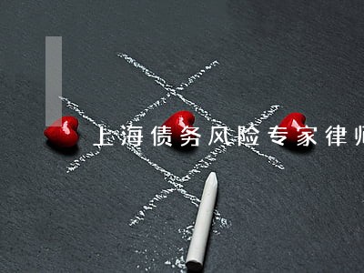 上海债务风险专家律师 上海债务风险专家律师