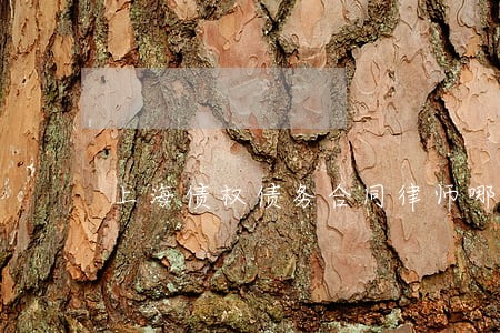 上海债权债务合同律师哪个好 上海债权债务合同律师哪个好