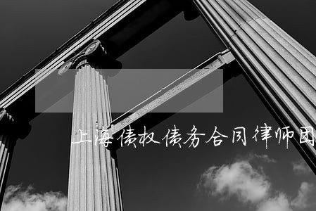 上海债权债务合同律师团队 上海债权债务合同律师团队