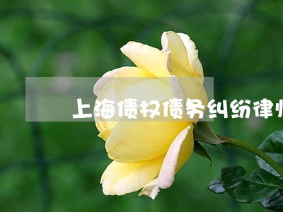 上海债权债务纠纷律师代理费 上海债权债务纠纷律师代理费