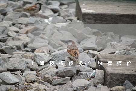 上海债权债务纠纷律师价格 上海债权债务纠纷律师价格