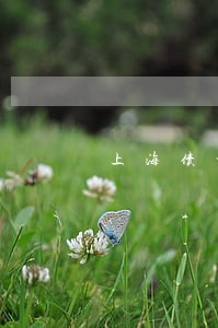 上海债权债务纠纷律师怎么收费 上海债权债务纠纷律师怎么收费