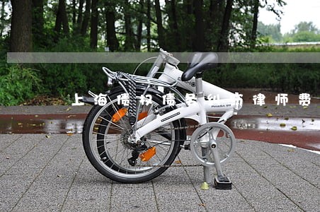 上海债权债务纠纷律师费用