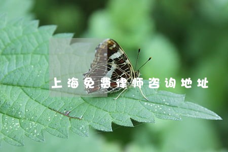 上海免费律师咨询地址