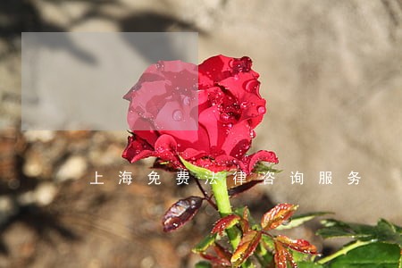 上海免费法律咨询服务 上海免费法律咨询服务