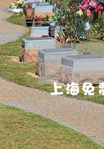 上海免费的法律咨询 上海免费的法律咨询