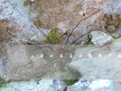 上海公务员法院限户籍吗
