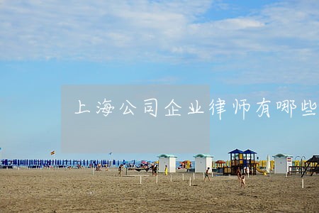 上海公司企业律师有哪些 上海公司企业律师有哪些