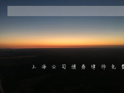 上海公司债券律师免费咨询 上海公司债券律师免费咨询