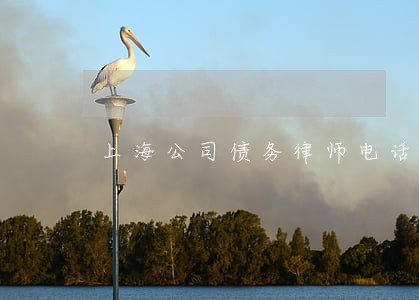 上海公司债务律师电话咨询 上海公司债务律师电话咨询