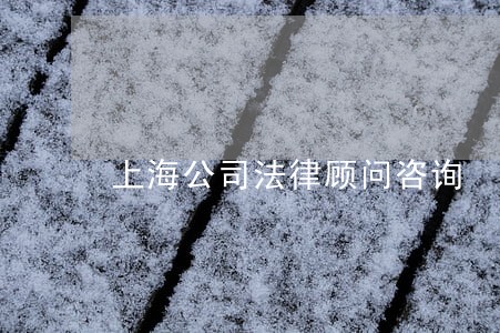 上海公司法律顾问咨询 上海公司法律顾问咨询