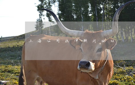 上海公司法律顾问地址 上海公司法律顾问地址