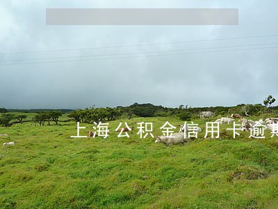 上海公积金信用卡逾期