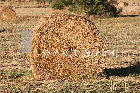 上海公积金房贷征信12次逾期 上海公积金房贷征信12次逾期