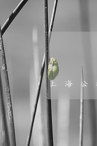 上海公积金贷款逾期次数 上海公积金贷款逾期次数