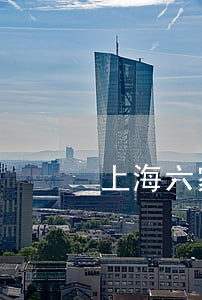 上海六家司法精神病鉴定机构 上海六家司法精神病鉴定机构